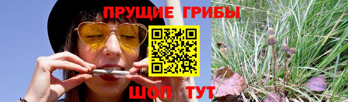 Галлюциногенные грибы MAGIC MUSHROOMS  Вход с VPN  Псков 
